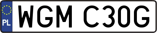 WGMC30G