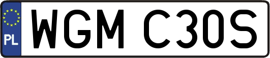 WGMC30S