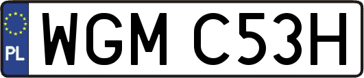 WGMC53H