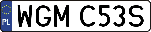 WGMC53S