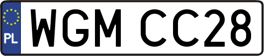 WGMCC28