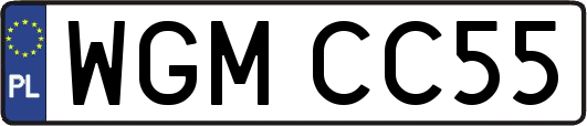 WGMCC55