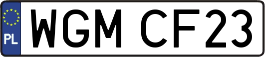 WGMCF23