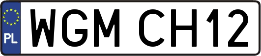 WGMCH12