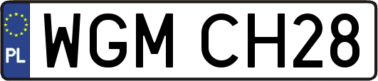 WGMCH28