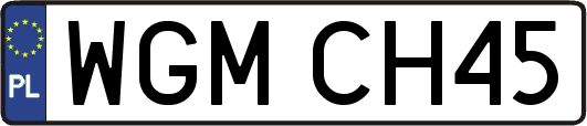 WGMCH45
