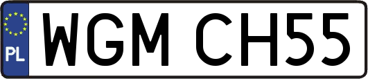 WGMCH55