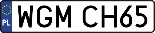 WGMCH65