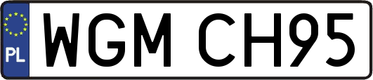 WGMCH95