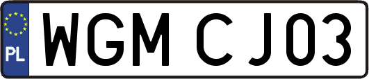 WGMCJ03