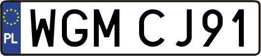 WGMCJ91