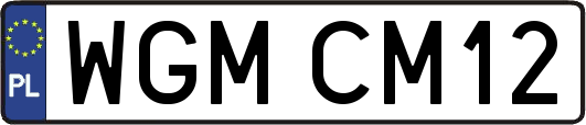 WGMCM12