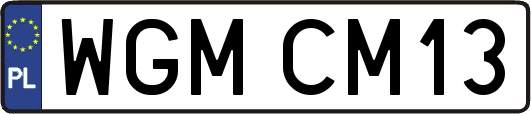 WGMCM13