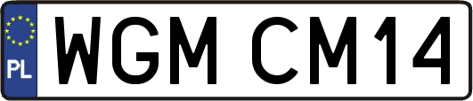 WGMCM14