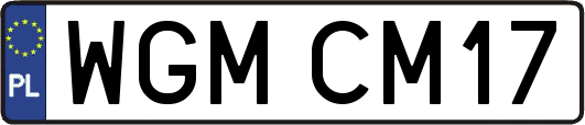 WGMCM17