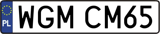 WGMCM65