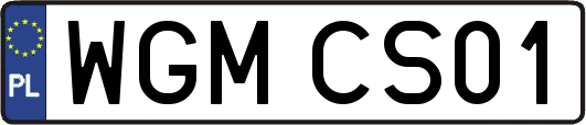 WGMCS01