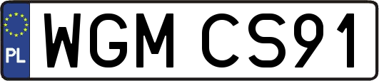 WGMCS91