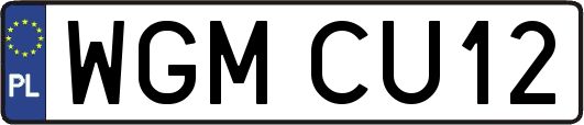 WGMCU12
