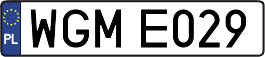 WGME029