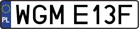 WGME13F