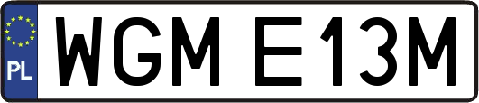 WGME13M