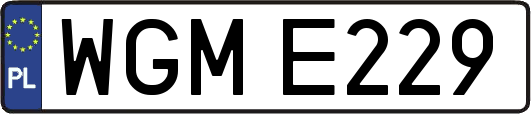 WGME229