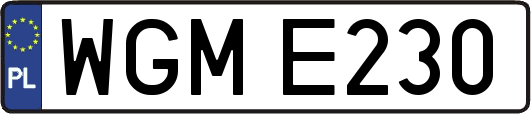 WGME230
