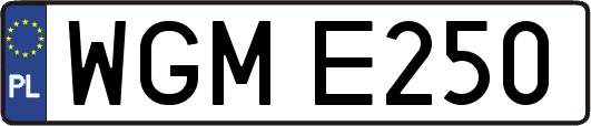 WGME250