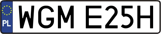 WGME25H