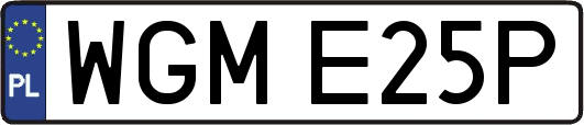 WGME25P