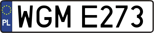 WGME273