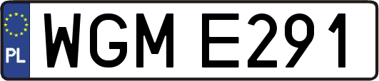 WGME291