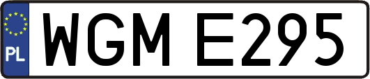 WGME295