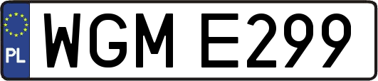 WGME299