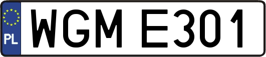 WGME301