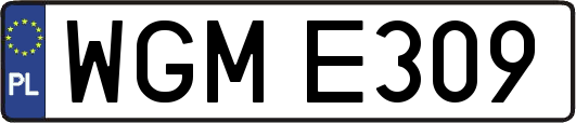 WGME309