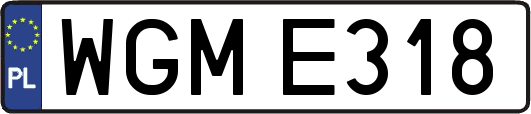 WGME318