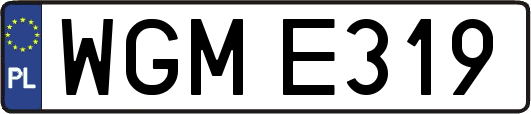 WGME319