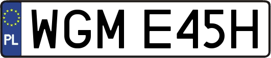 WGME45H