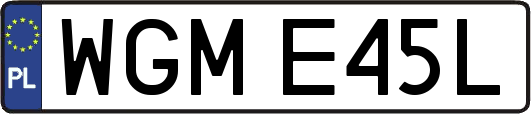 WGME45L