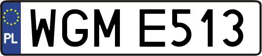 WGME513