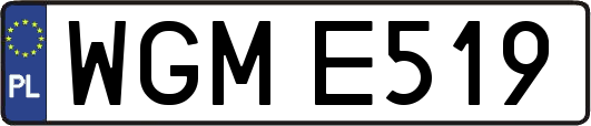 WGME519