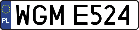 WGME524