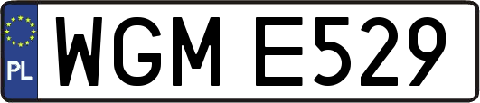 WGME529