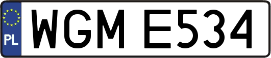 WGME534
