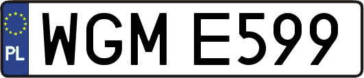 WGME599