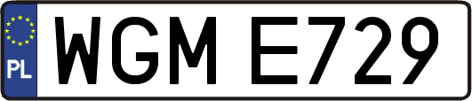 WGME729