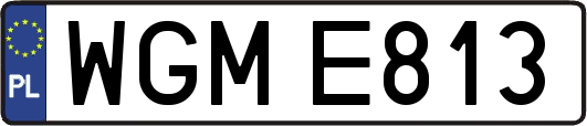 WGME813