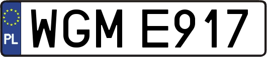 WGME917